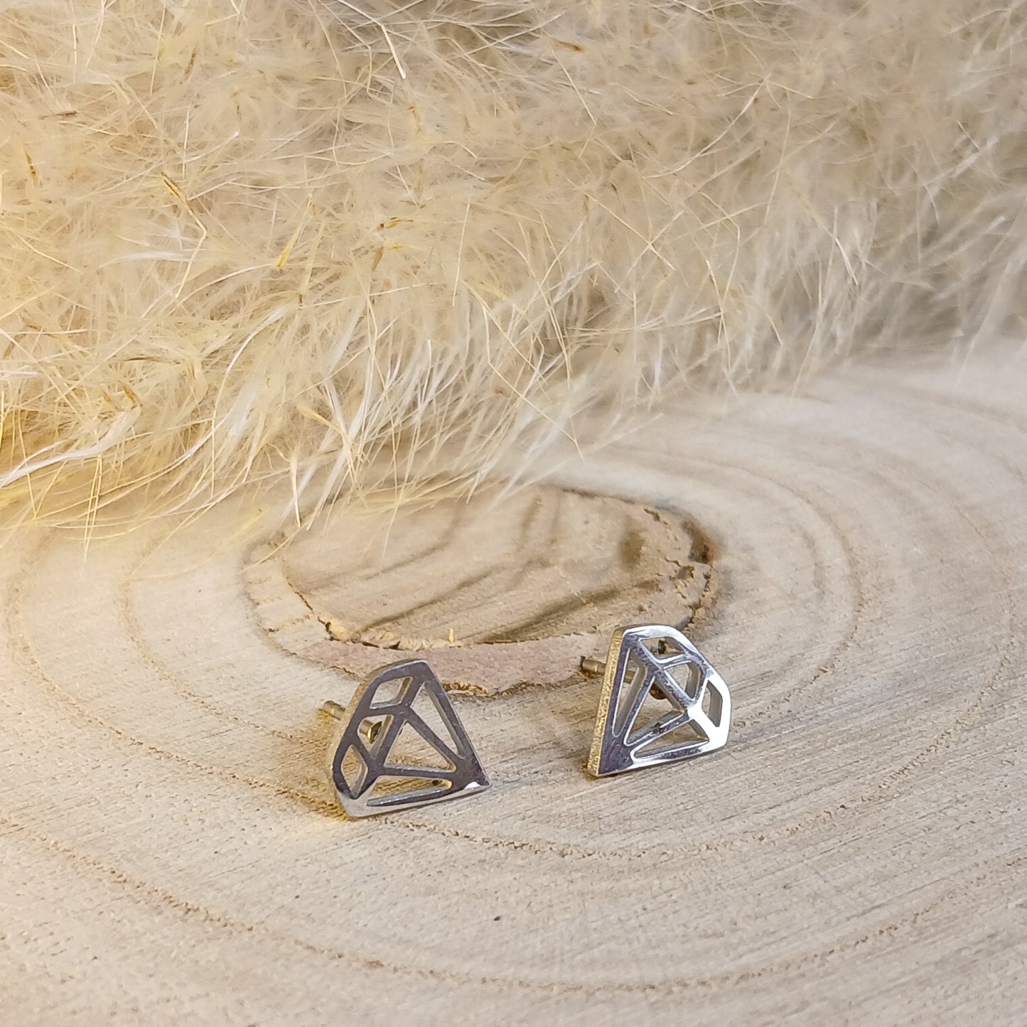 Ohrstecker Edelstahl Diamant