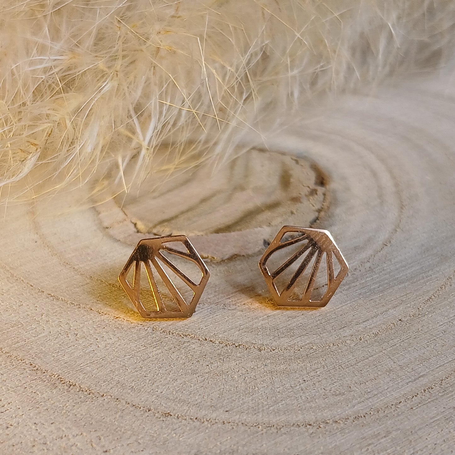 Ohrstecker Edelstahl Muschel