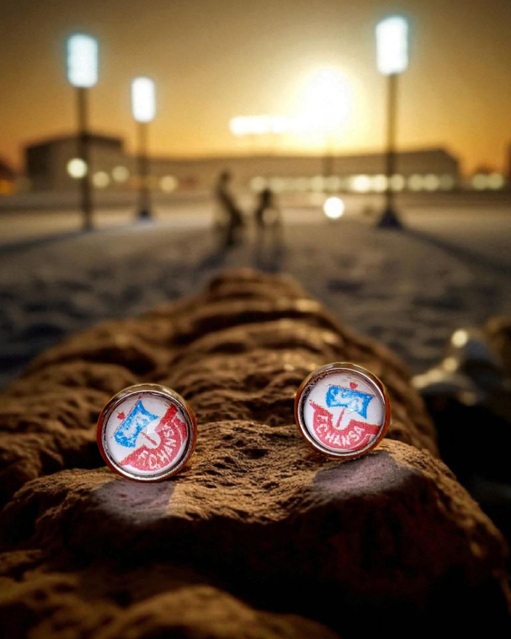 FC Hansa Ohrstecker silberfarben Motiv bunt