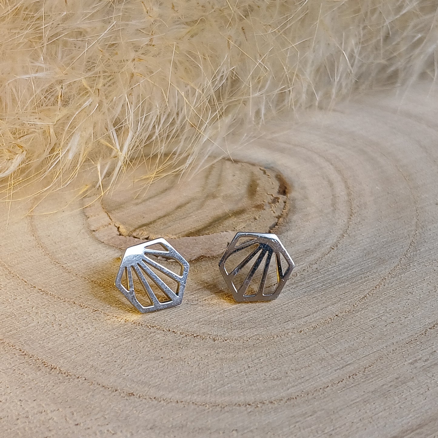 Ohrstecker Edelstahl Muschel