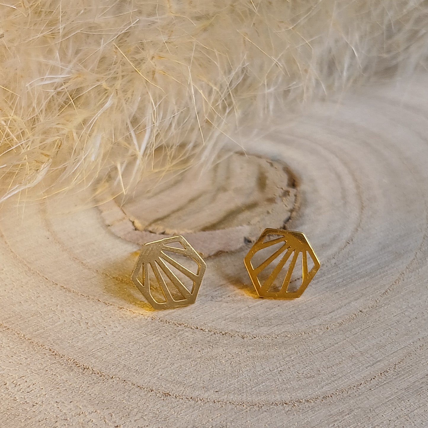 Ohrstecker Edelstahl Muschel