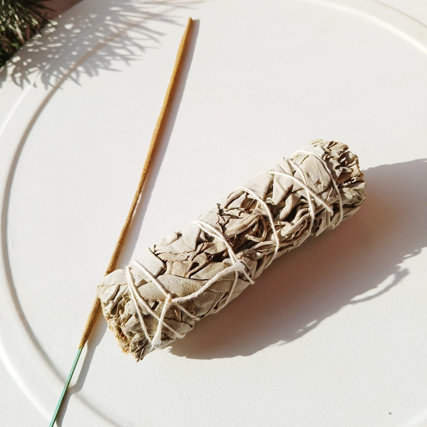 Weißer Salbei Räucherstick