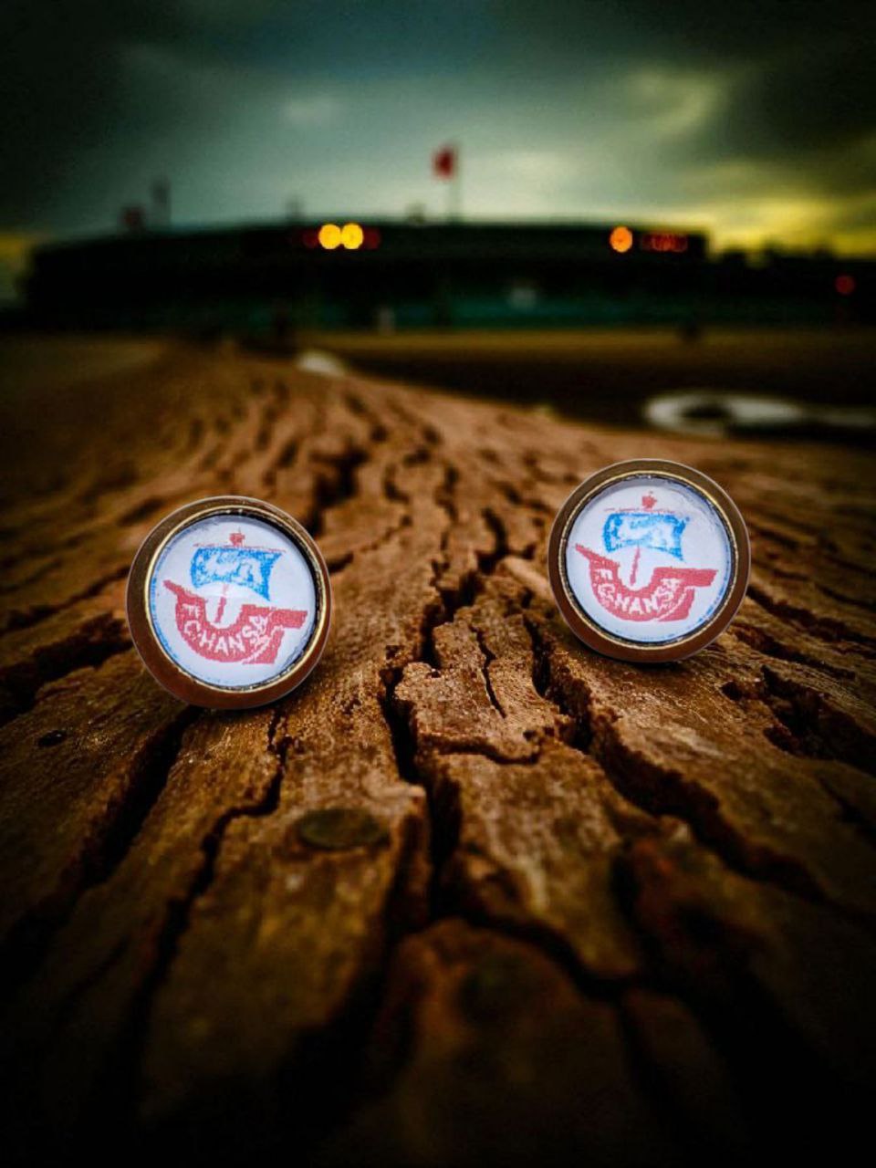 FC Hansa Ohrstecker bronzefarben Motiv bunt