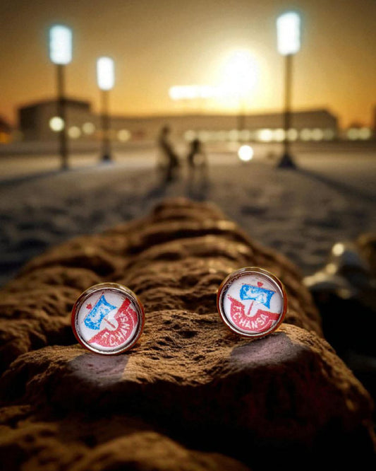 FC Hansa Ohrstecker silberfarben Motiv bunt