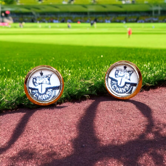 FC Hansa Ohrstecker silverfarben Motiv schwarz-weiß