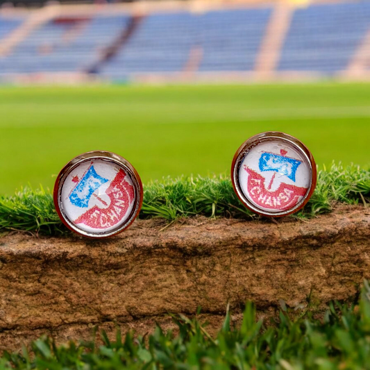 FC Hansa Ohrstecker silverfarben Motiv bunt